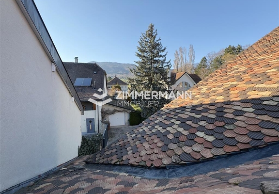 -Rue du Vieux-Collège - 1275 Chéserex