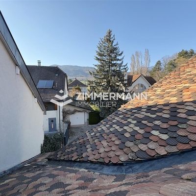 -Rue du Vieux-Collège - 1275 Chéserex