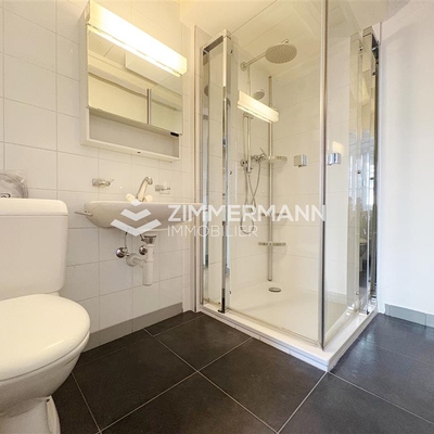 -Rue du Vieux-Collège - 1275 Chéserex